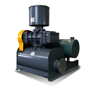 Roots blower